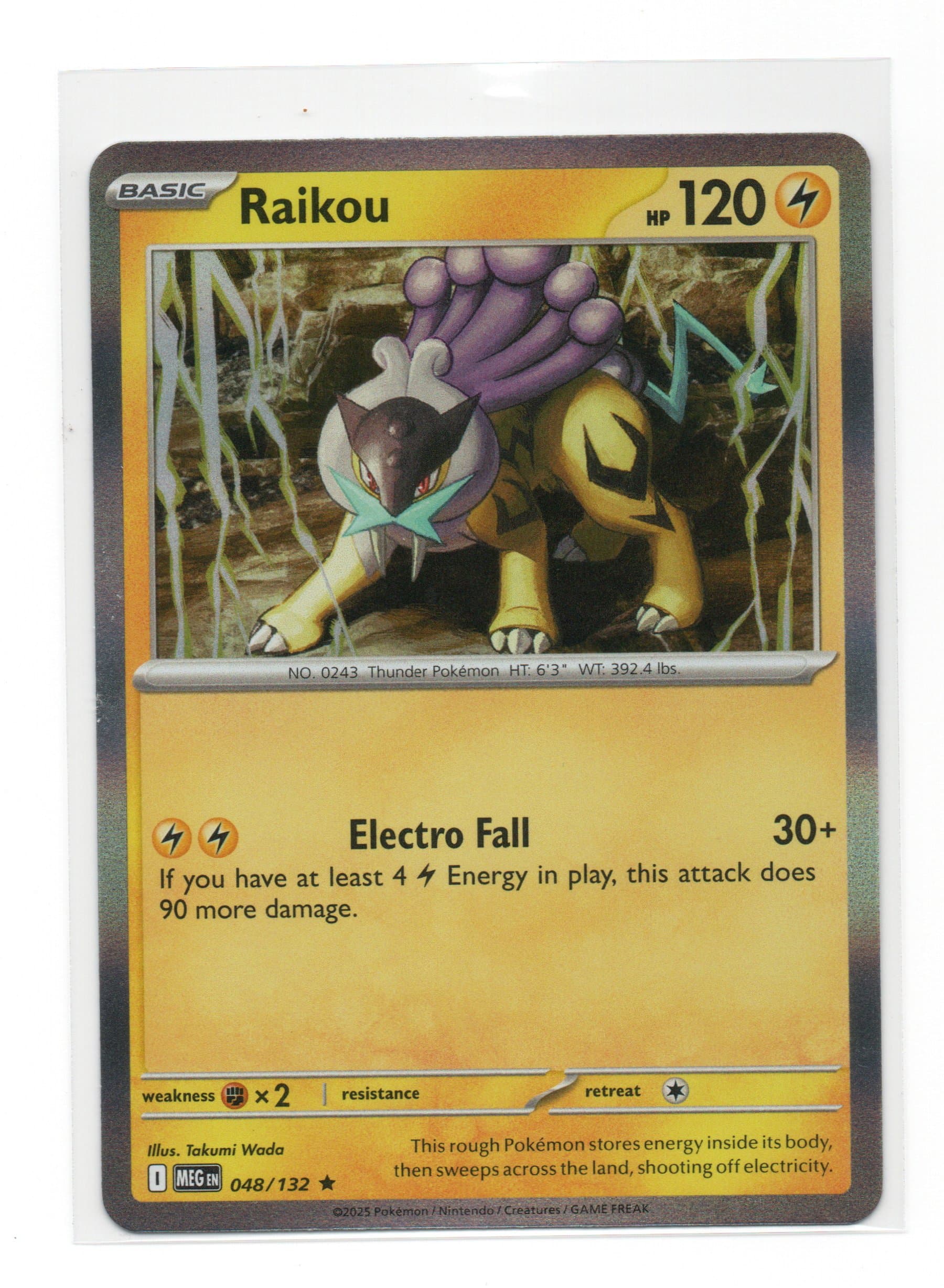 RAIKOU - 048/132 (HOLO)